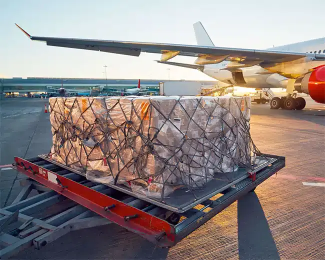 acil hava kargo uçak kargo